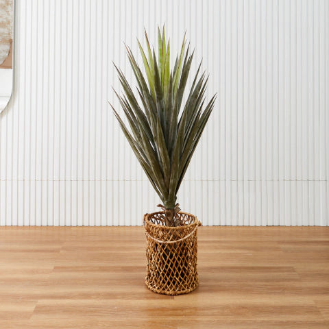Sisal