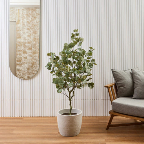 Eucalyptus 1,4 M