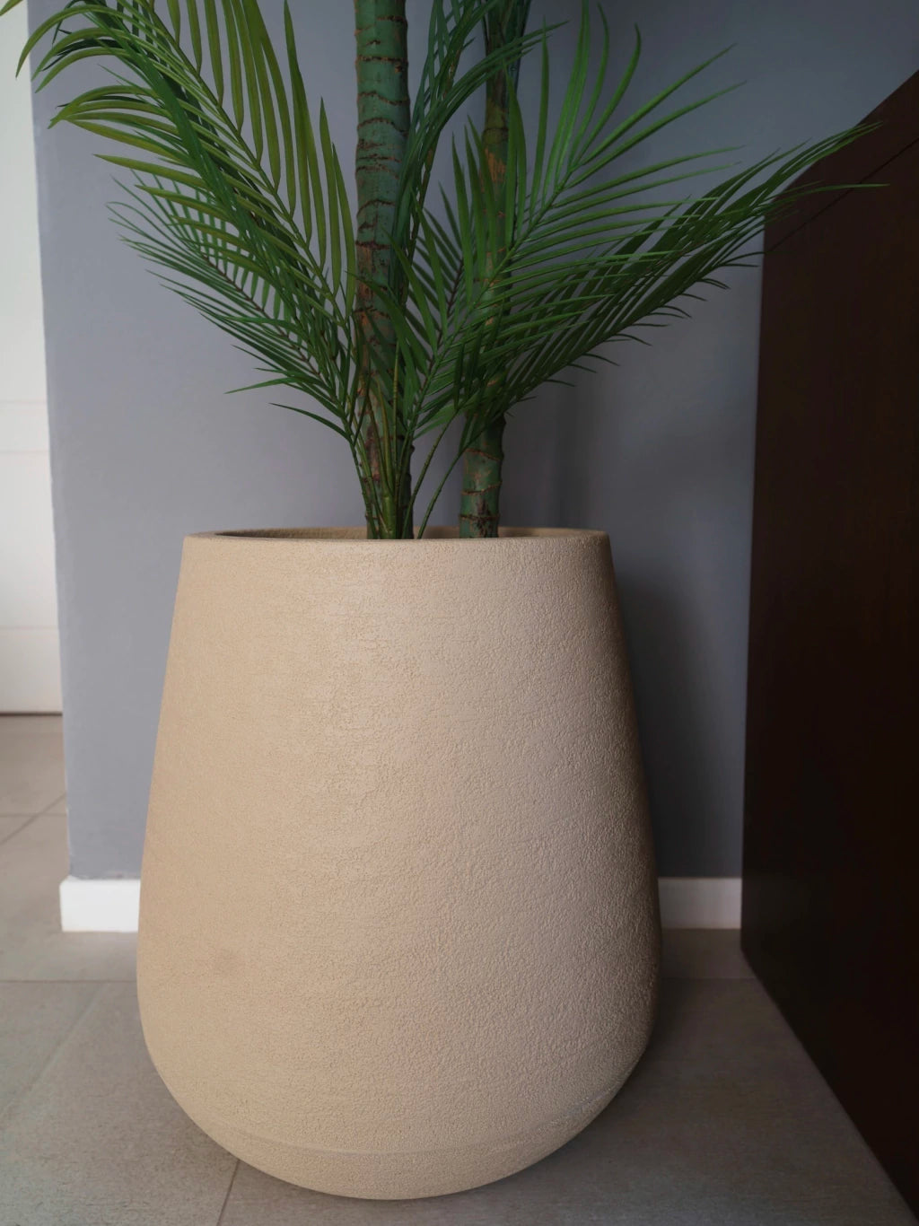 Combo Palmera Roystonea 240cm Regia Desmontable + Maceta Matte 58