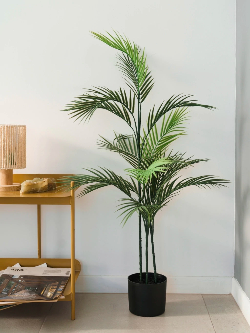Planta Palmera Areca 110Cm Calidad Premium