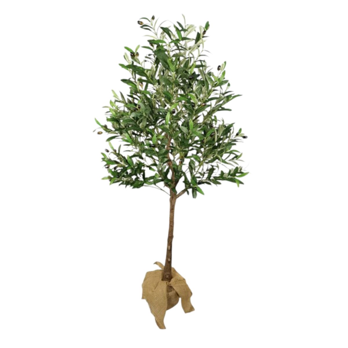 Olivo artificial premium, grande y realista – Planta permanente de 160 cm