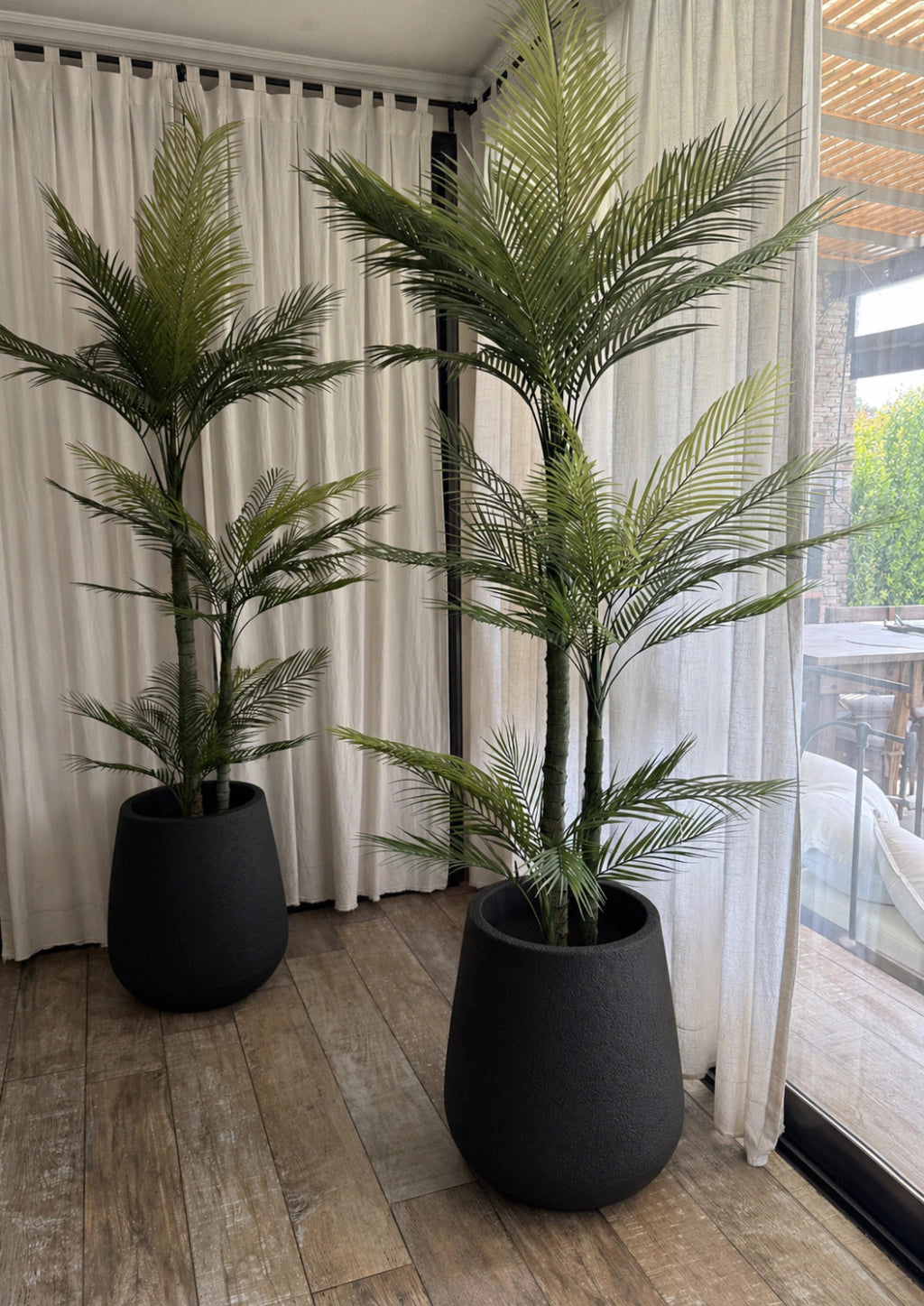 Combo Palmera Roystonea 240cm Regia Desmontable + Maceta Matte 58