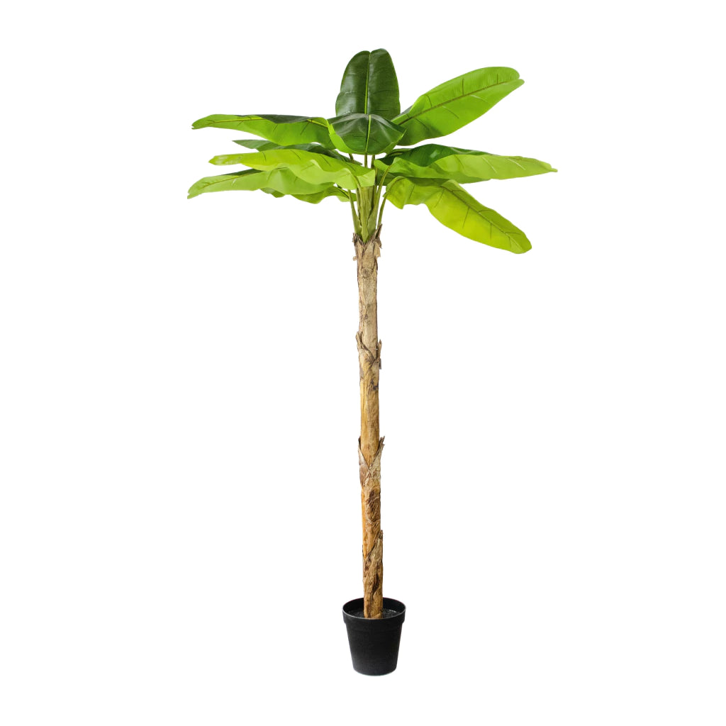 Árbol planta Banano Artificial 300cm