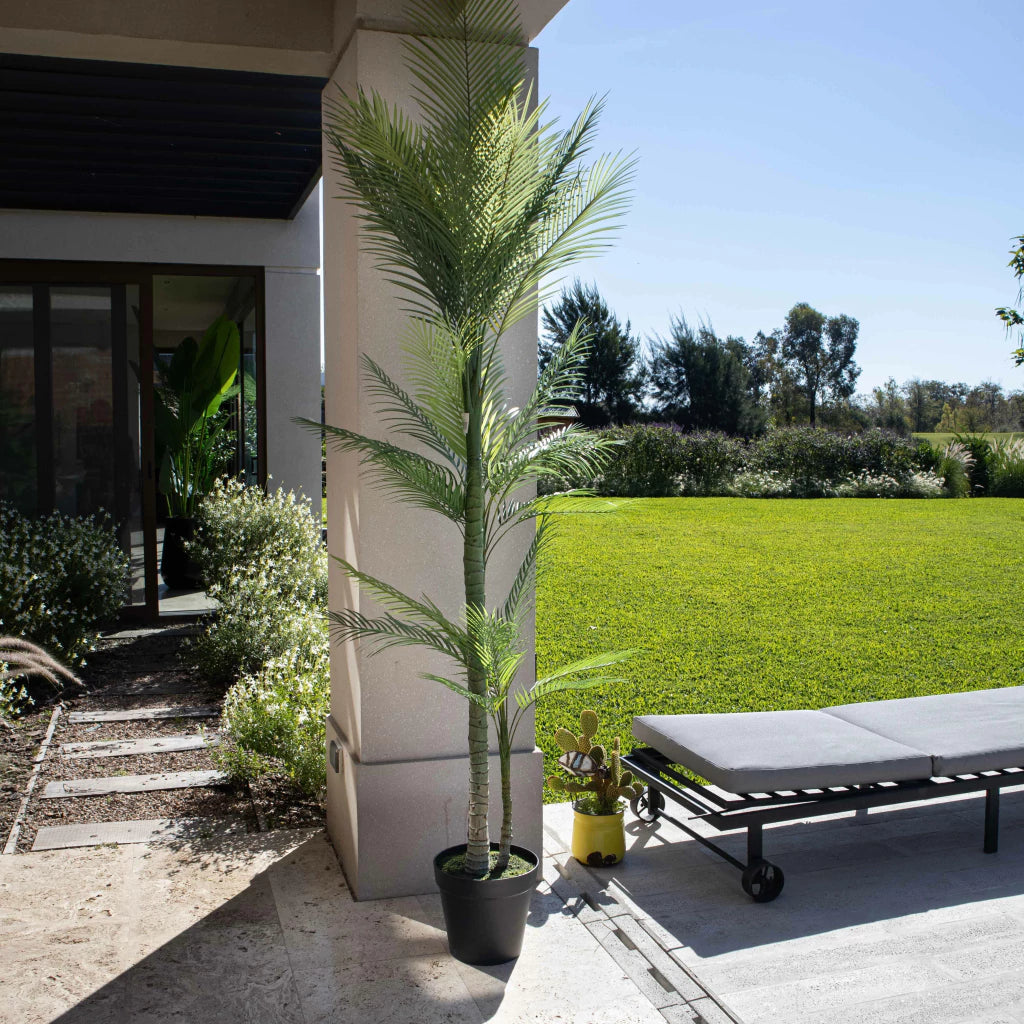 Palmera Roystonea 240cm Regia Desmontable