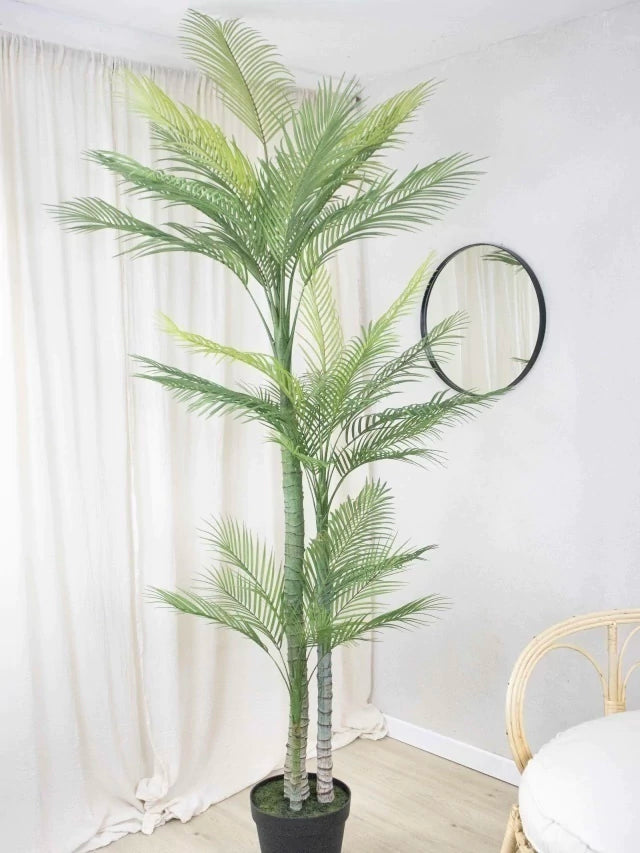 Palmera Roystonea 240cm Regia Desmontable