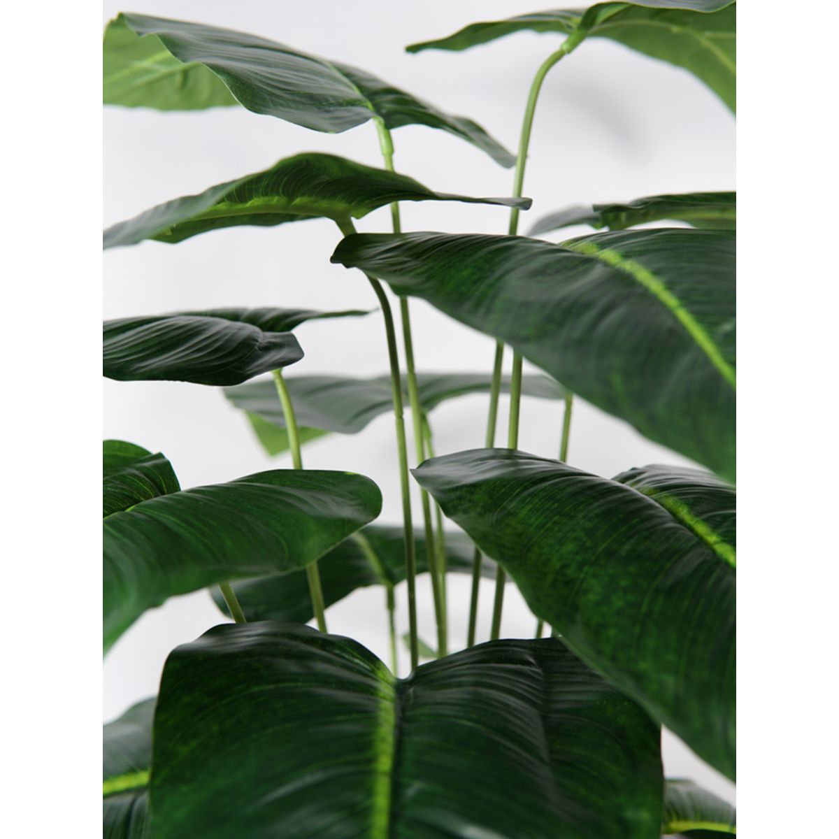 Planta de Alocasia verde de aspecto realista con 18 hojas – 58 cm