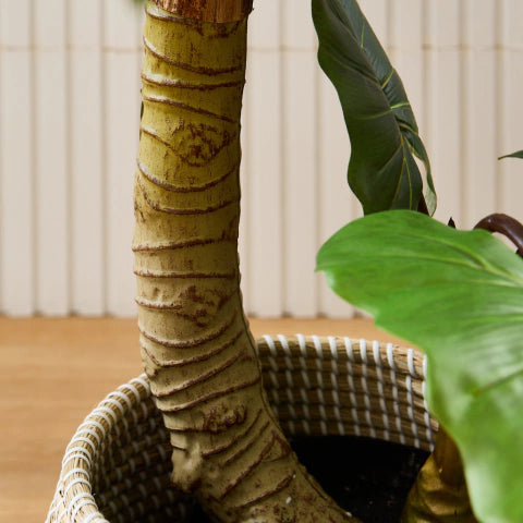 Taro Pole 1,4 M
