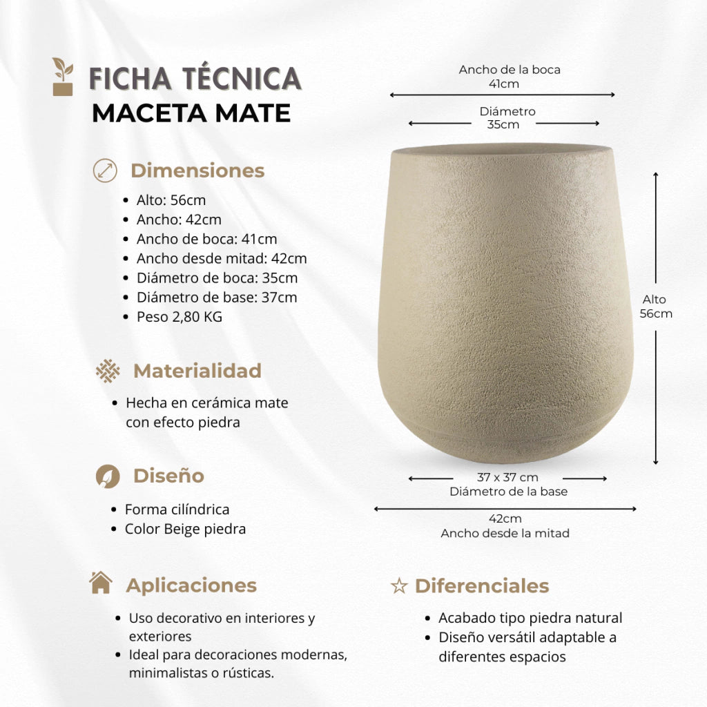 Combo Palmera Roystonea 240cm Regia Desmontable + Maceta Matte 58