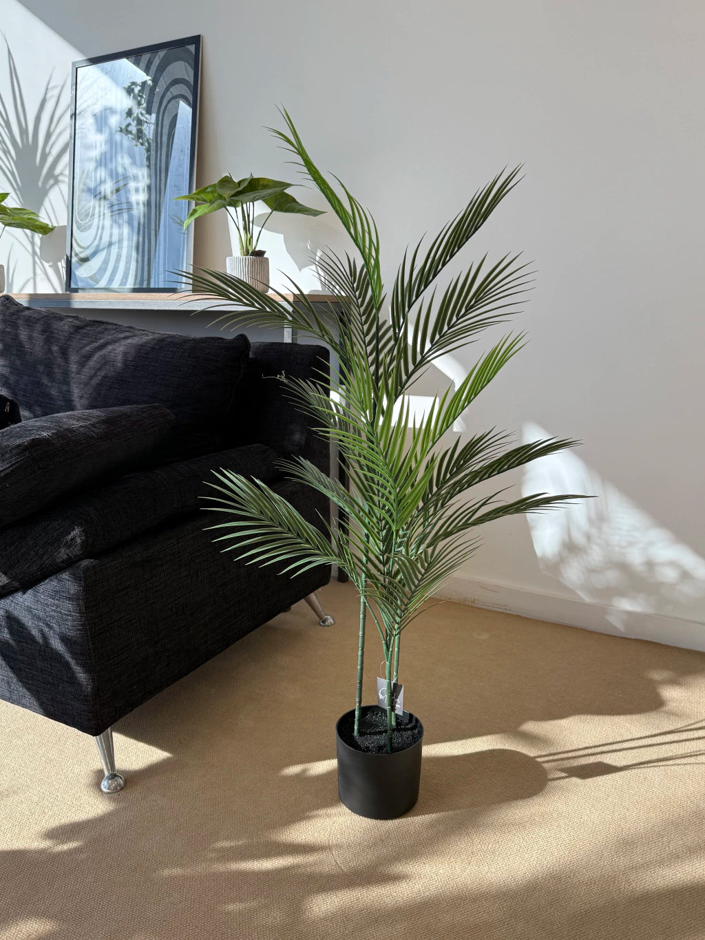 Planta Palmera Areca 110Cm Calidad Premium
