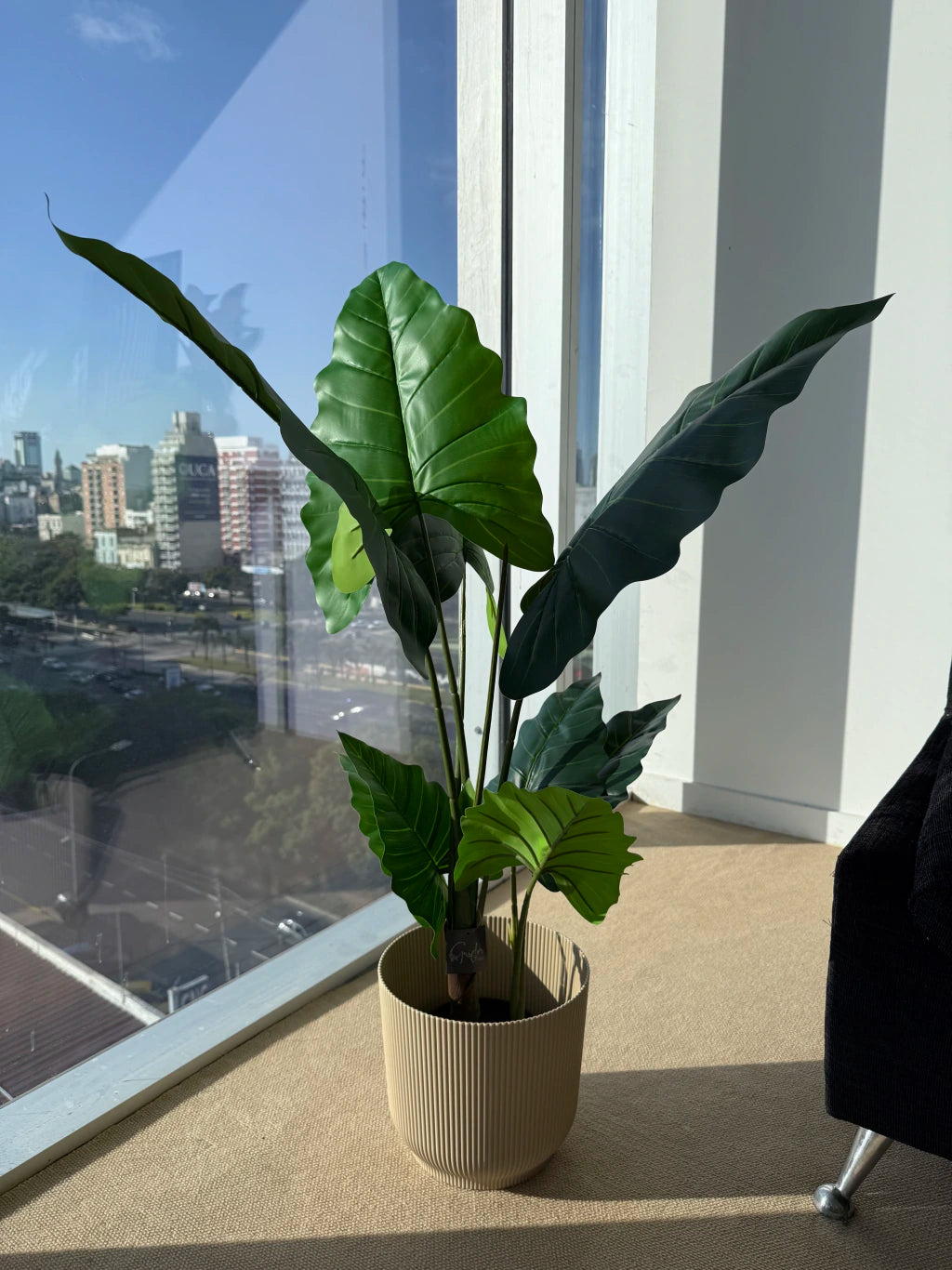 Planta Artificial Alocasia 110cm Calidad Premium